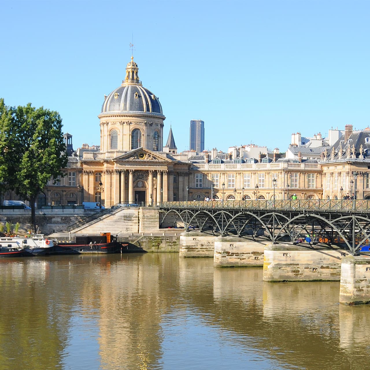 institut de france parigi crociera sulla senna